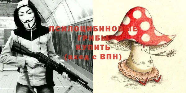 PSILOCYBIN Беломорск
