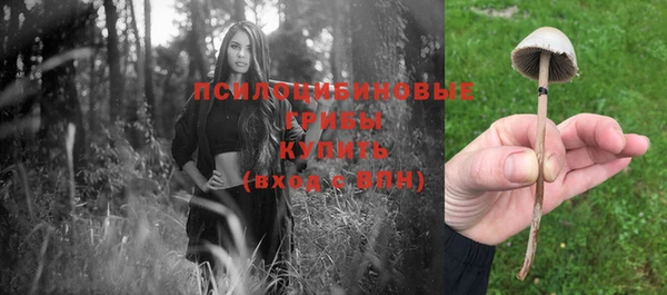 PSILOCYBIN Беломорск