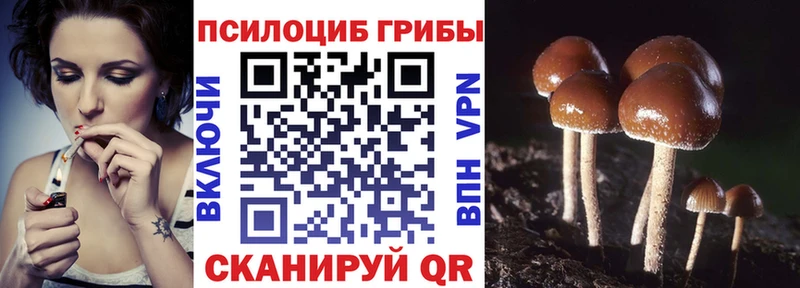Псилоцибиновые грибы мухоморы Верхняя Пышма
